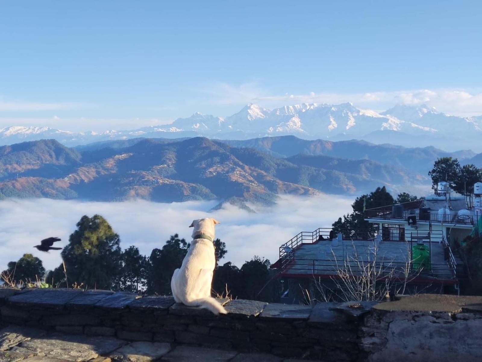 Apartamento The Heavens Almora Exterior foto